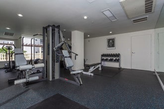 Porta di Oro Apartments in Miami, FL - Building Photo - Interior Photo
