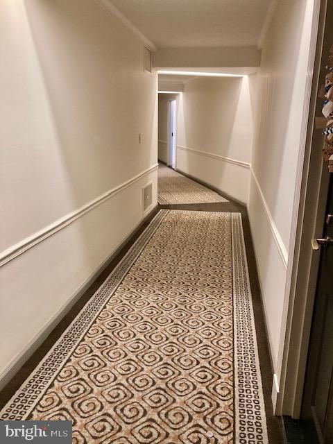 5902 Mt Eagle Dr in Alexandria, VA - Building Photo - Building Photo