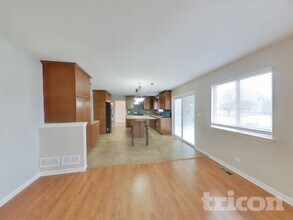 16137 S Lexington Dr in Plainfield, IL - Foto de edificio - Building Photo