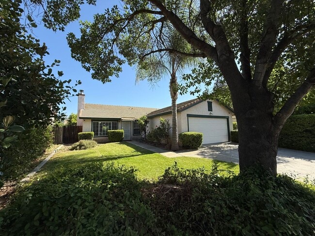 3605 Effingham Ln in Modesto, CA - Building Photo - Building Photo
