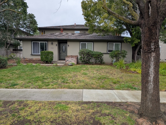 property at 5883 El Zuparko Dr