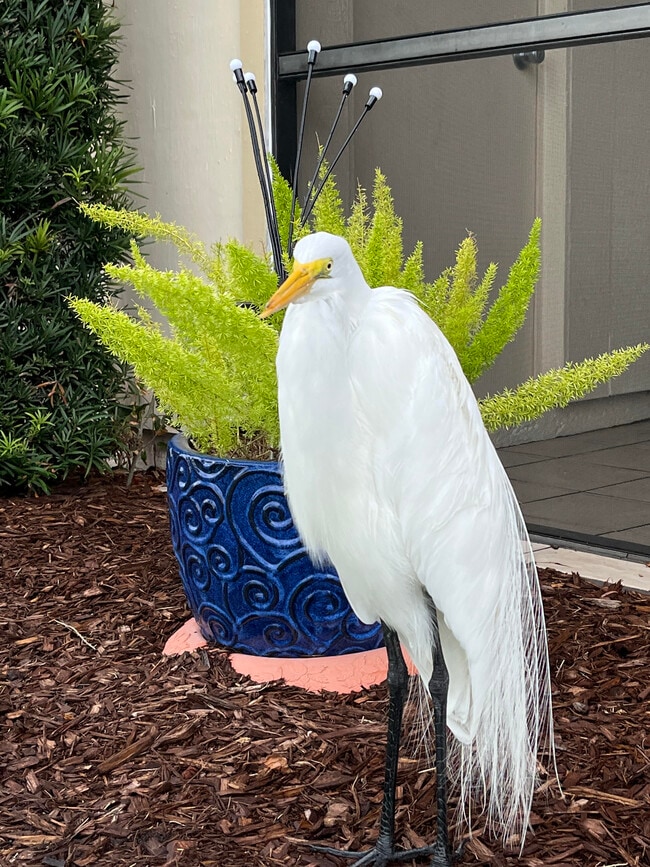 property at 6180 Sun Blvd