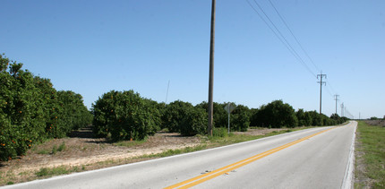 Shady Oaks Apartments in Winter Haven, FL - Building Photo - Building Photo