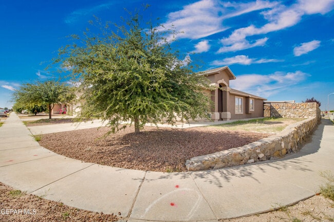 14299 Desert Point Dr in Horizon City, TX - Building Photo - Building Photo