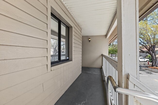 3709 GREENERY Ct in Tampa, FL - Building Photo - Building Photo