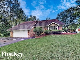 707 Rose Ln in Matteson, IL - Building Photo