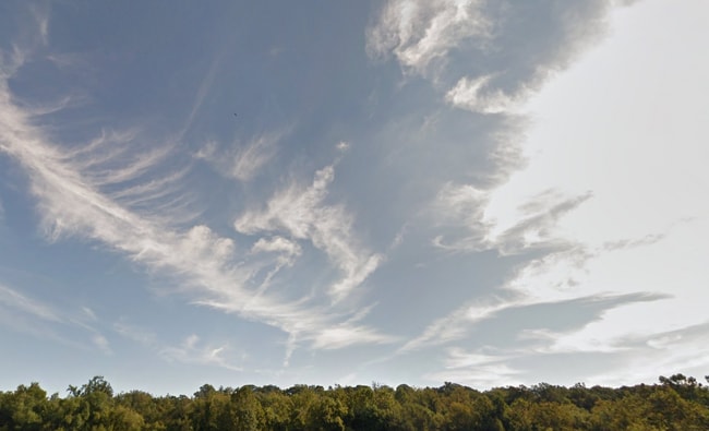 6608 Edsall Rd, Unit 1