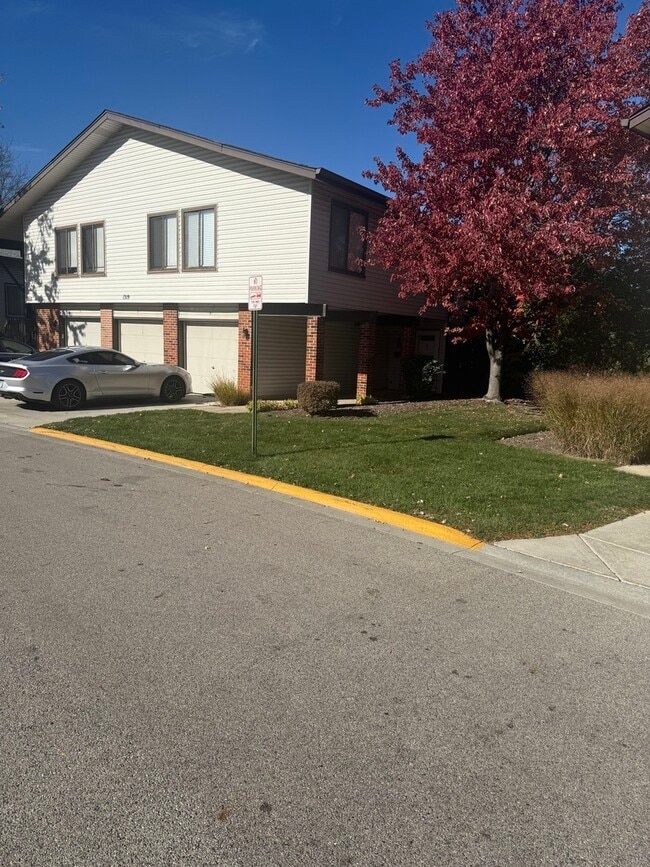 1319 Kingsbury Dr in Hanover Park, IL - Building Photo - Building Photo