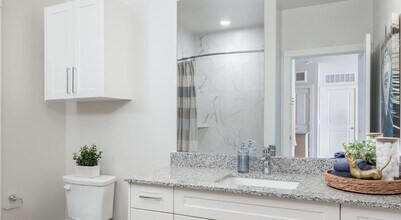 19101 Town Ridge Ln in Webster, TX - Building Photo - Building Photo