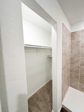 14710 Candelabra Cactus in San Antonio, TX - Building Photo - Building Photo