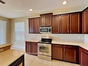 2629 Red Fern Dr in Dover, FL - Building Photo - Building Photo
