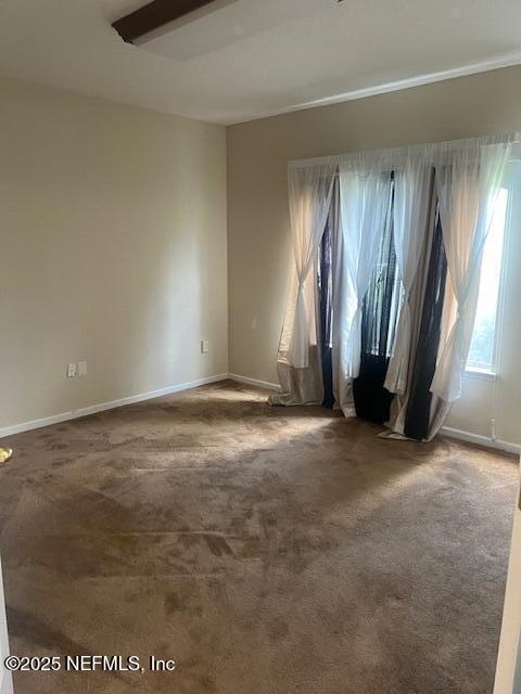 1424 Canopy Oaks Dr in Orange Park, FL - Building Photo - Building Photo
