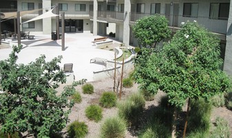 Collins Court in Phoenix, AZ - Foto de edificio - Building Photo