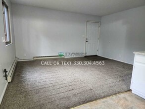 210 S Maple St in Akron, OH - Building Photo - Building Photo