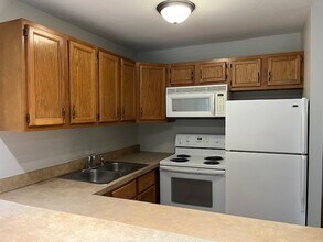 6020 Oakwood Dr in Lisle, IL - Building Photo - Building Photo