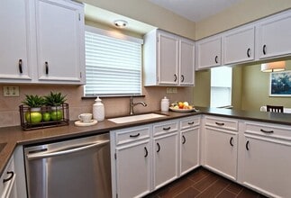 2410 Del Norte St in Houston, TX - Building Photo - Building Photo