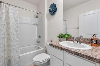 11624 MIracle Mile Dr in Riverview, FL - Building Photo - Building Photo