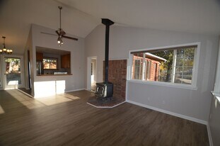 230 Pine Dr in Fairplay, CO - Building Photo