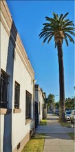 526 Golden Ave in Long Beach, CA - Building Photo - Building Photo