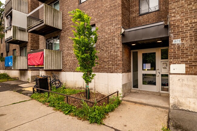 3884 Rivard Rue in Montréal, QC - Building Photo - Building Photo