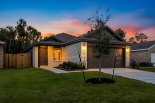 20931 San Felice Ln in New Caney, TX - Building Photo