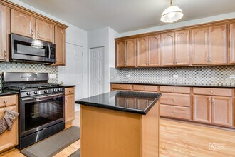 346 Lucille Ln in Schaumburg, IL - Building Photo - Building Photo