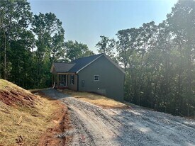 361 Tower Dr in Dawsonville, GA - Building Photo