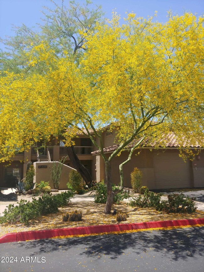 8880 Paraiso Dr in Scottsdale, AZ - Building Photo - Building Photo