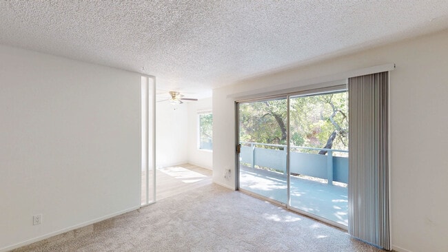 property at 823 Las Gallinas Ave