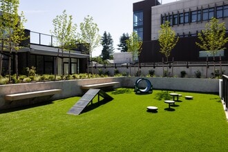 One Fifty Braid in New Westminster, BC - Building Photo - Building Photo