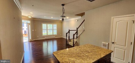 23552 Hopewell Manor Terrace in Ashburn, VA - Building Photo - Building Photo