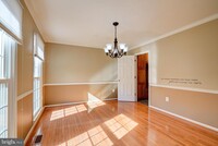 44128 Bristow Cir in Ashburn, VA - Foto de edificio - Building Photo