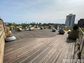 334 Harvard St, Unit E4 in Cambridge, MA - Foto de edificio - Building Photo