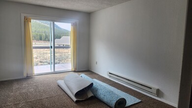 2994 CO-91 in Leadville, CO - Building Photo - Building Photo