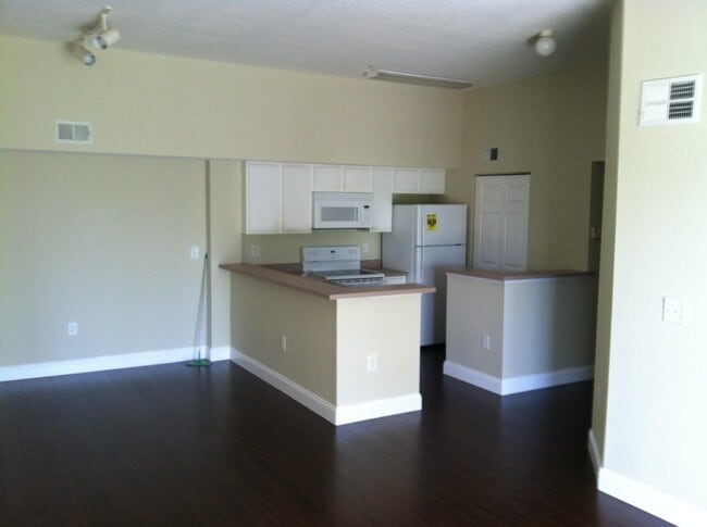 property at 171 SW Palm Dr