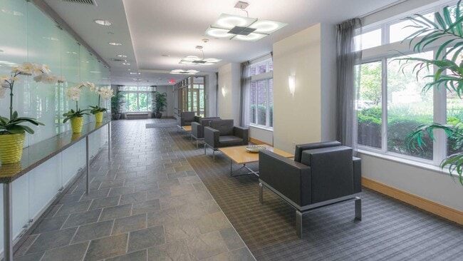 20 Watertown St in Watertown, MA - Building Photo - Building Photo