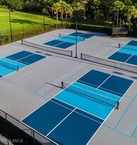 10305 Longleaf Pine Ct in Ft. Myers, FL - Building Photo