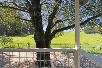 2731 Stony Point Rd in Petaluma, CA - Building Photo - Building Photo