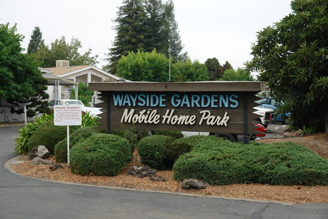 Wayside Gardens in Santa Rosa, CA - Building Photo - Building Photo