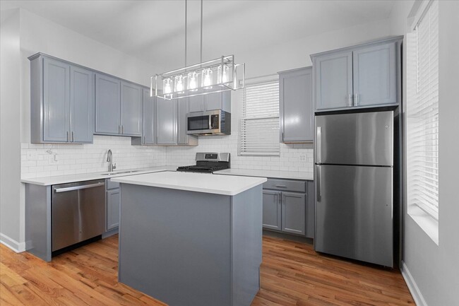 858 N Paulina St, Unit # 01 in Chicago, IL - Foto de edificio - Building Photo