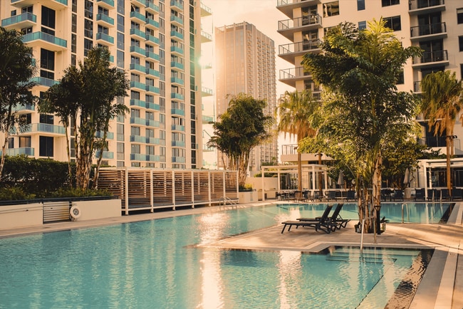 Flow Miami