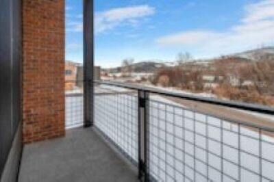 300 Clement St in Basalt, CO - Building Photo - Building Photo