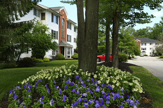 Windsor Place in Mentor, OH - Building Photo - Building Photo