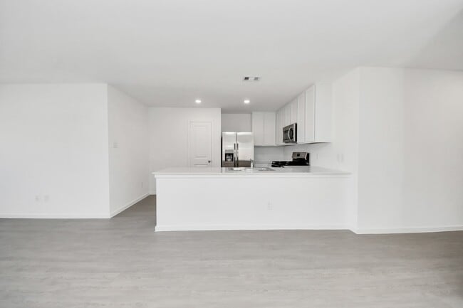 29010 Pearl Barley Wy in Hockley, TX - Building Photo - Building Photo