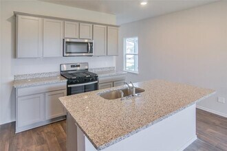 361 Sandringham Lp in Kyle, TX - Building Photo - Building Photo