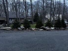 159 Tommy's Ln in Pocono Lake, PA - Building Photo