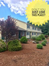 A1 Properties in Willington, CT - Foto de edificio - Building Photo