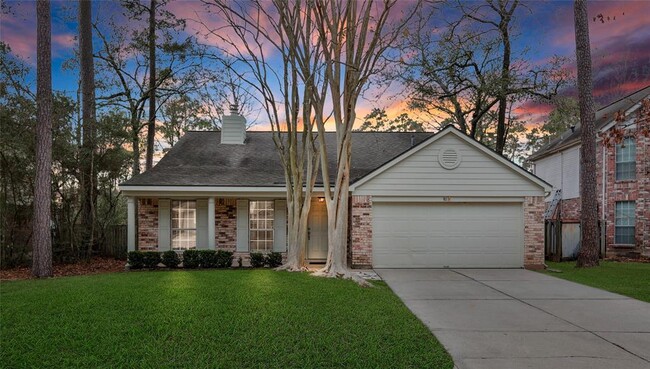 property at 91 W Indian Sage Cir