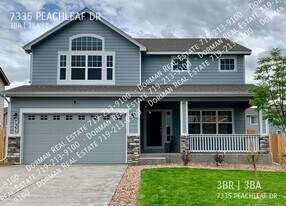 7335 Peachleaf Dr in Colorado Springs, CO - Building Photo