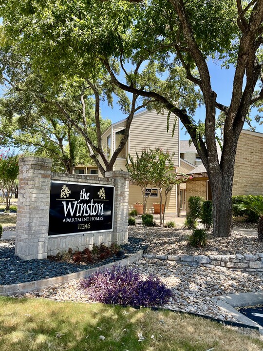 Winston in San Antonio, TX - Foto de edificio